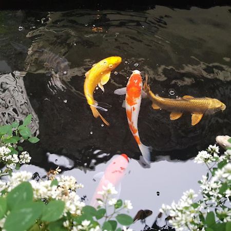 Vuon Tra Homestay Mang Den Kon Von Kla Bagian luar foto