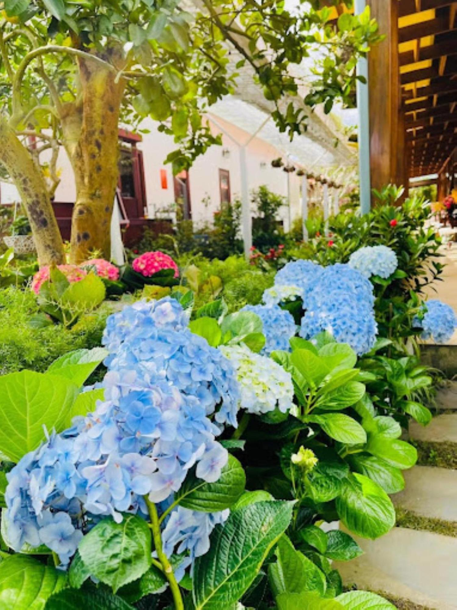 Vuon Tra Homestay Mang Den Kon Von Kla Bagian luar foto