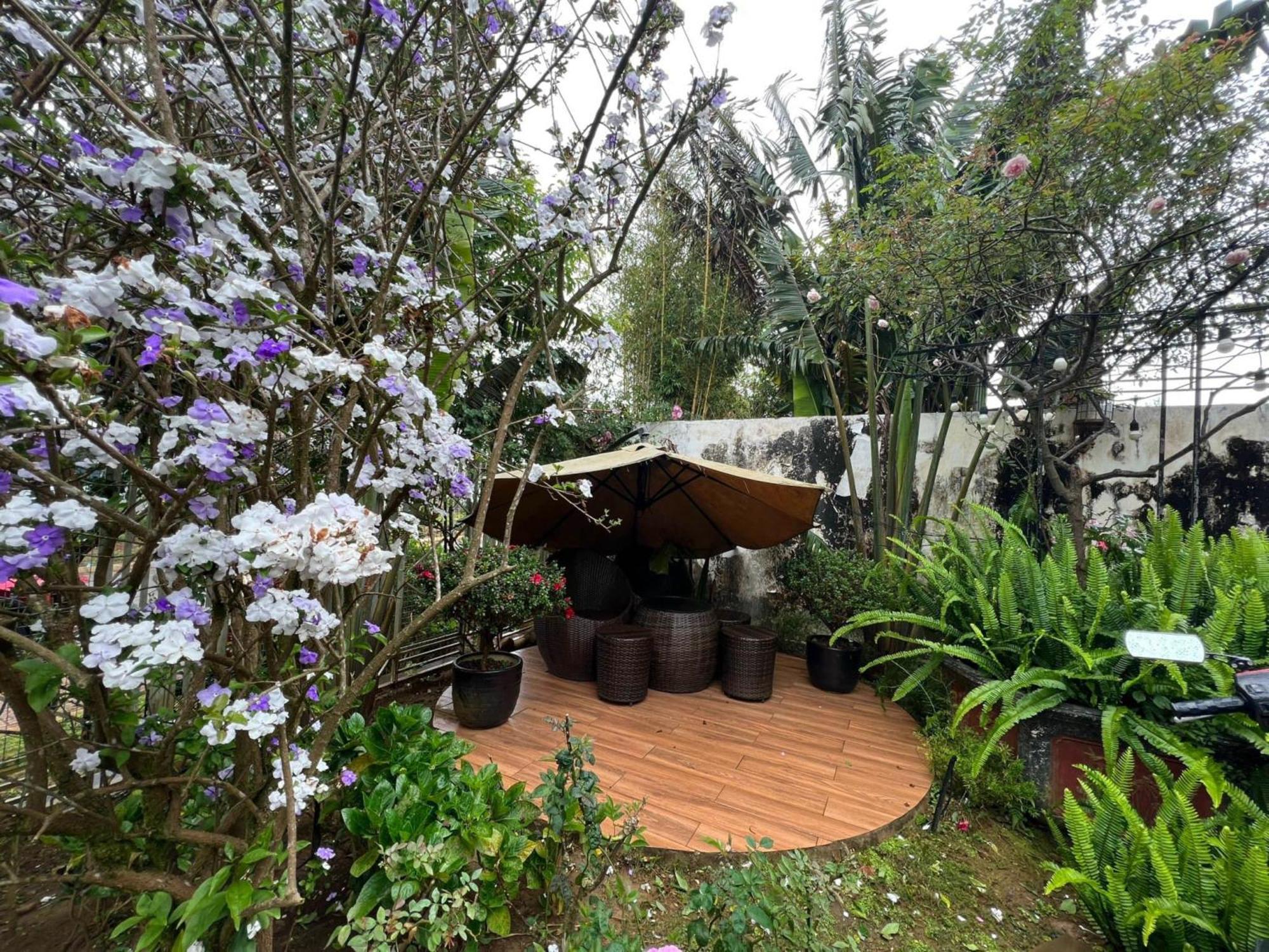 Vuon Tra Homestay Mang Den Kon Von Kla Bagian luar foto