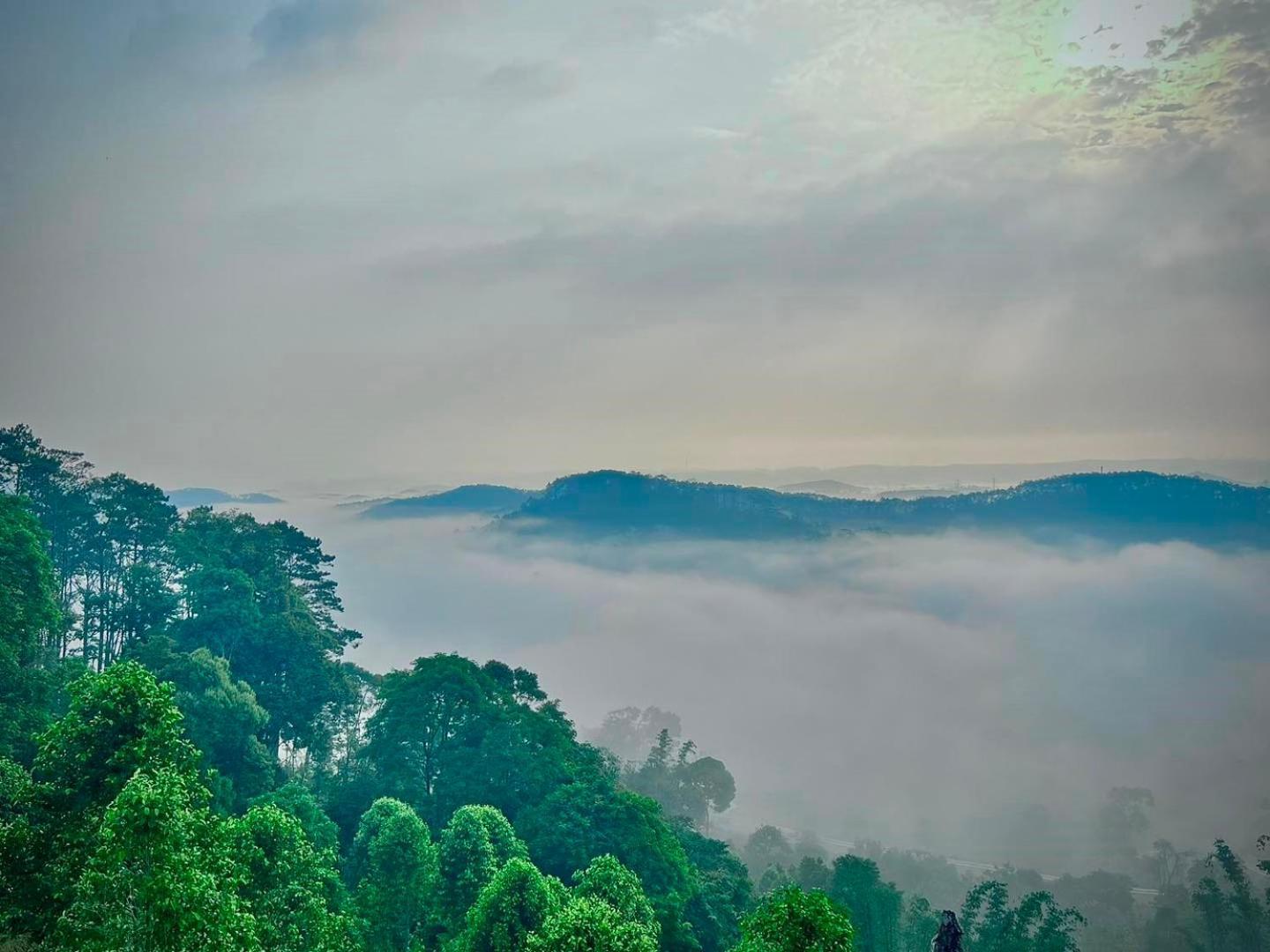 Vuon Tra Homestay Mang Den Kon Von Kla Bagian luar foto