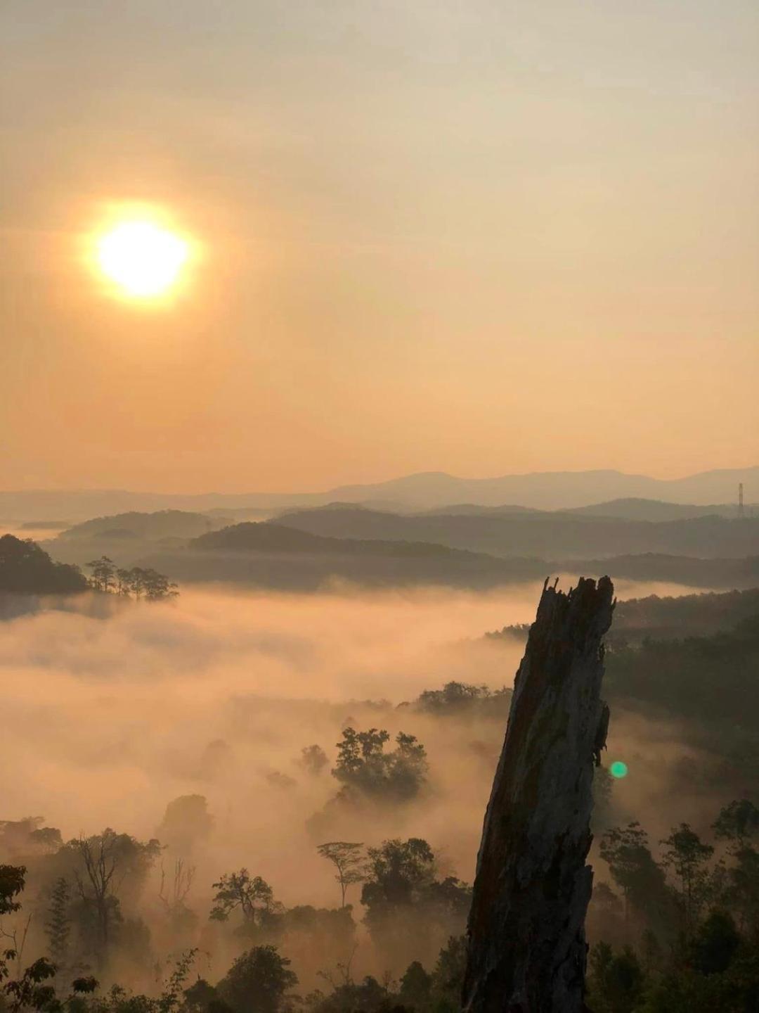 Vuon Tra Homestay Mang Den Kon Von Kla Bagian luar foto